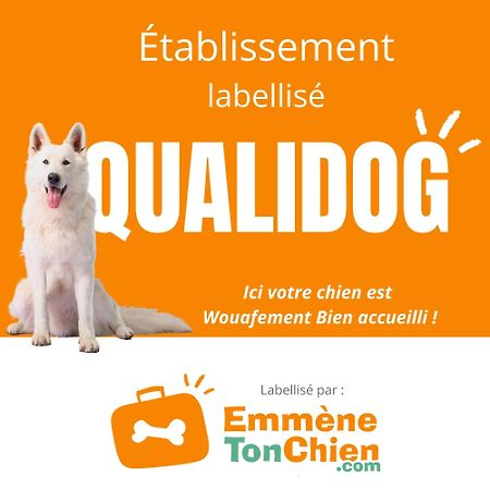 L'Echappee Belle Leilighet Dieppe Eksteriør bilde